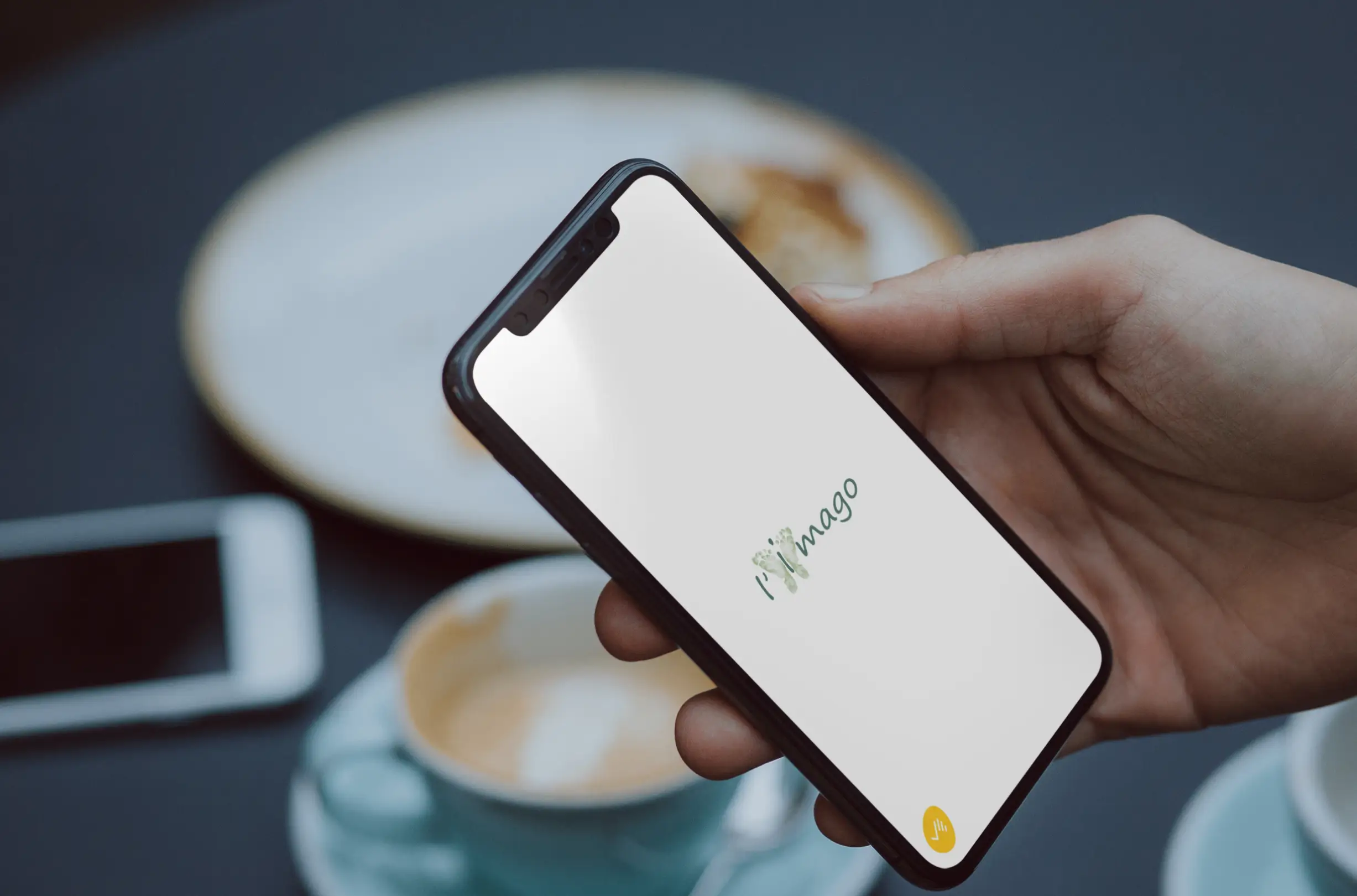 L'IMAGO REFLEXO — visuel 9